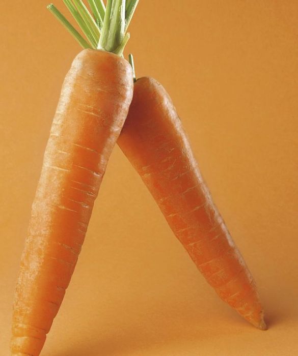Le carote sono un ortaggio ricchissimo di proprietà benefiche. Nel periodo invernale sono perfette per aiutare la pelle, sottoposta agli stress termici come freddo e vento. Inoltre, essendo ricche di betacarotene, combattono il colorito pallido tipico della stagione.