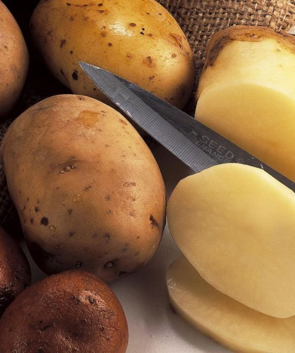 Carboidrati facili da assimilare, sali minerali e vitamine: ecco cosa apportano le patate, ortaggi ricchi di antiossidanti. Meglio prepararle bollite o in umido, ma non fritte.