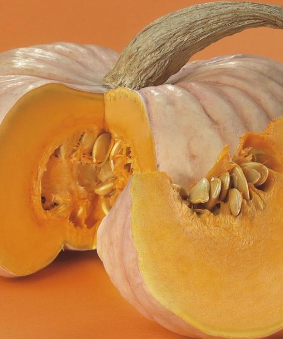 La zucca fornisce al nostro organismo il betacarotene, che protegge il sistema circolatorio, è un antinfiammatorio e ha proprietà antiossidanti: contrasta l’azione dei radicali liberi rallentando l’invecchiamento delle cellule. 