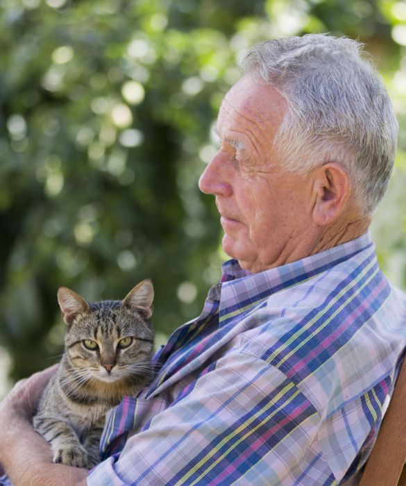 <p>Il gatto più vecchio mai vissuto al mondo, quando è morto aveva ben 38 anni e 3 giorni. Creme Puff, nato il 3 agosto 1967, visse fino al 6 agosto 2005. Il suo proprietario possedeva un altro gatto molto longevo: Rex Allen, morto a 34 anni.</p>