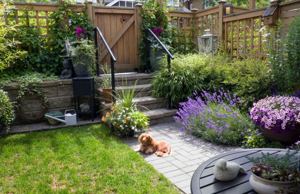 Piccolo Giardino Idee / Un piccolo giardino dai colori vibranti