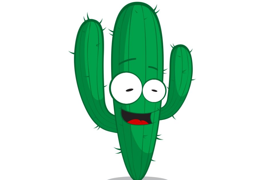 Quanta acqua dare a un cactus?