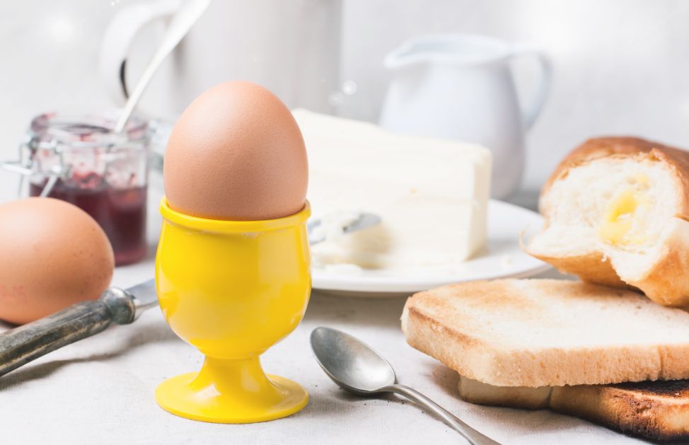 Come Covare Un Uovo Di Gallina In Casa
