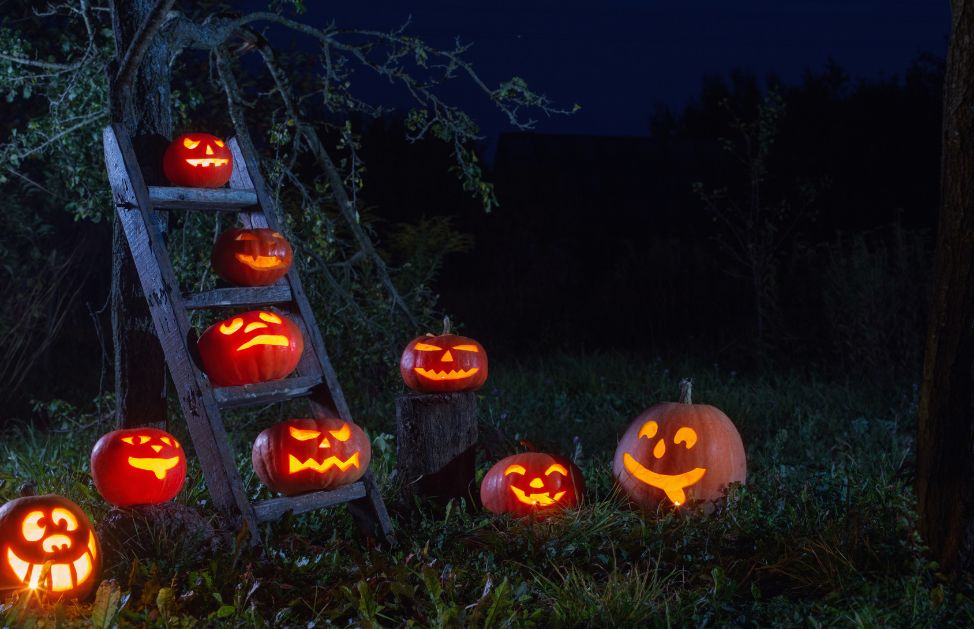 Come addobbare il giardino per Halloween - ADDobbi%2520giarDino%2520halloween