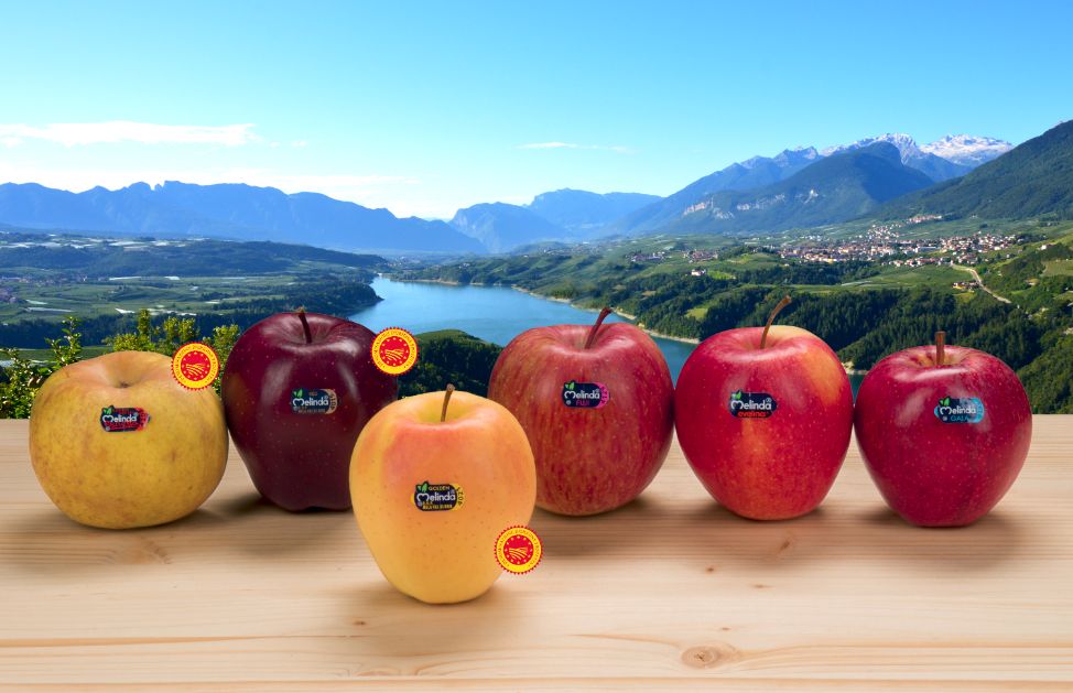 Il Consorzio Melinda la Val di Non e i suoi 4.000 frutticoltori DeAbyDay