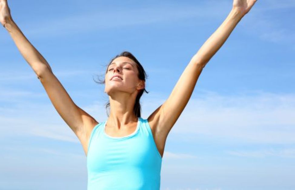 metabolismo de lipoproteinas resultados