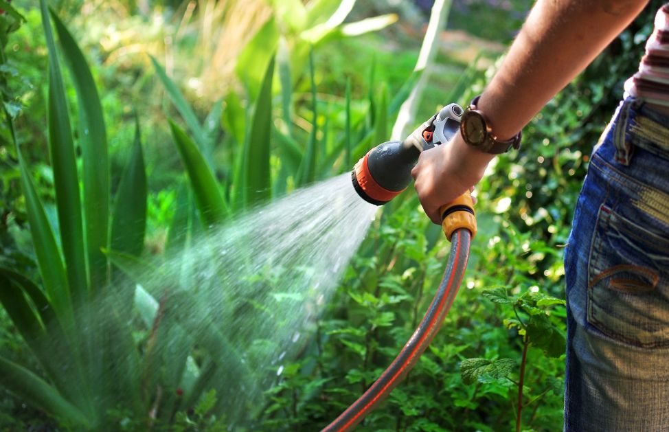 Tutte le piante hanno bisogno di acqua, alcune di più, altre meno.
Sia che si tratti di piante da appartamento che da giardino è necessario di tanto in tanto bagnarle. Se non avete tempo o siete poco costanti, affidatevi ad un impianto di irrigazione automatico.
