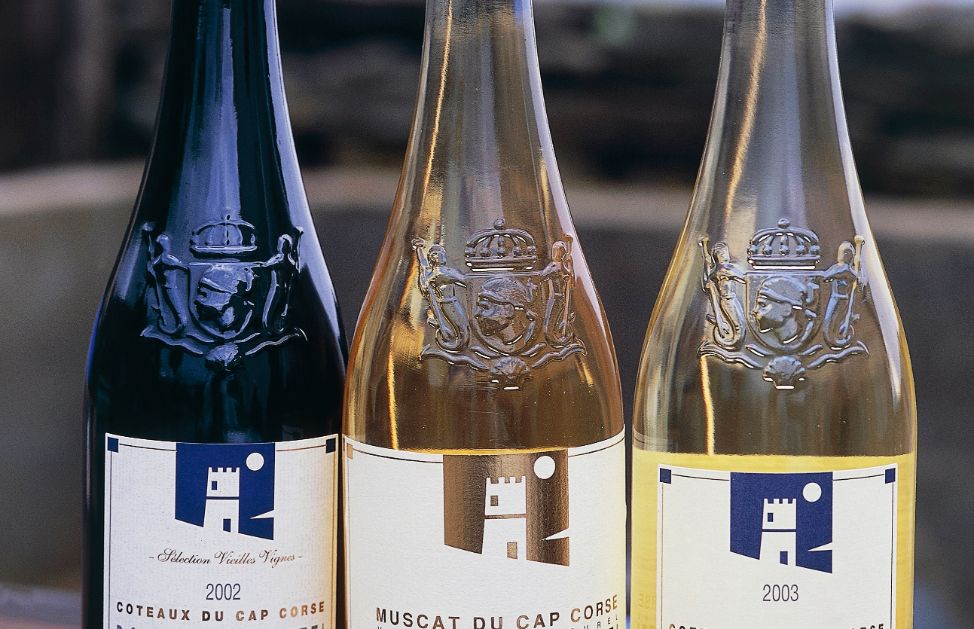 I vini del Chianti sono molto versatili e, vista la loro numerosità, si possono abbinare ai piatti più diversi: zuppe, carne, pesce e formaggi