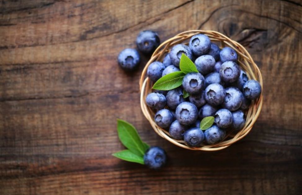 Il mirtillo nel passato veniva utilizzato per la cura di diverse patologie, e anche oggi-grazie alle sue svariate proprietà- può aiutare a diminuire o prevenirne molte. Viene spesso utilizzato come antiossidante naturale (grazie alla vitamina C che contiene), antinfiammatorio (in particolare per l'intestino) e antitumorale (grazie alla sua capacità di aiutare il sistema immunitario). Questo frutto può essere facilmente usato per frullati oppure insieme al classico yogurt greco!