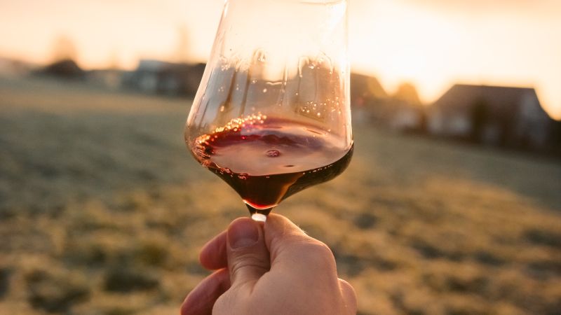 vino