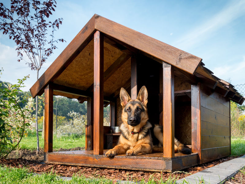 Cuccia con veranda in legno