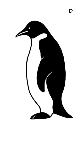 Colorare il pinguino