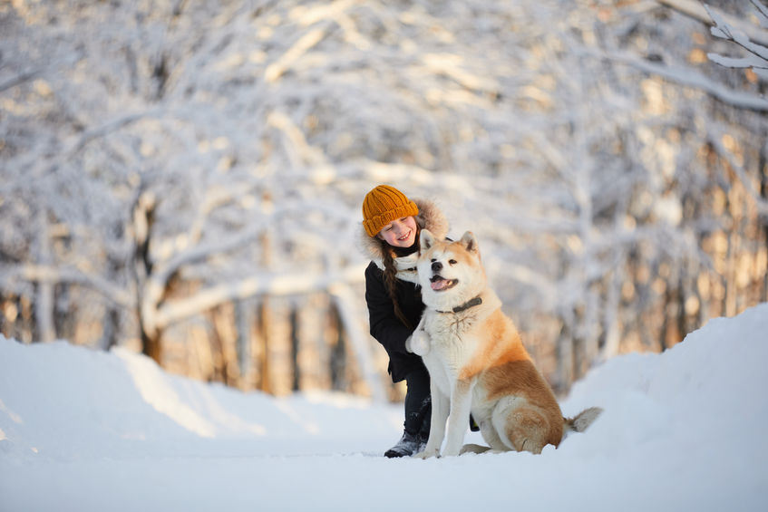 Bambina con akita inu