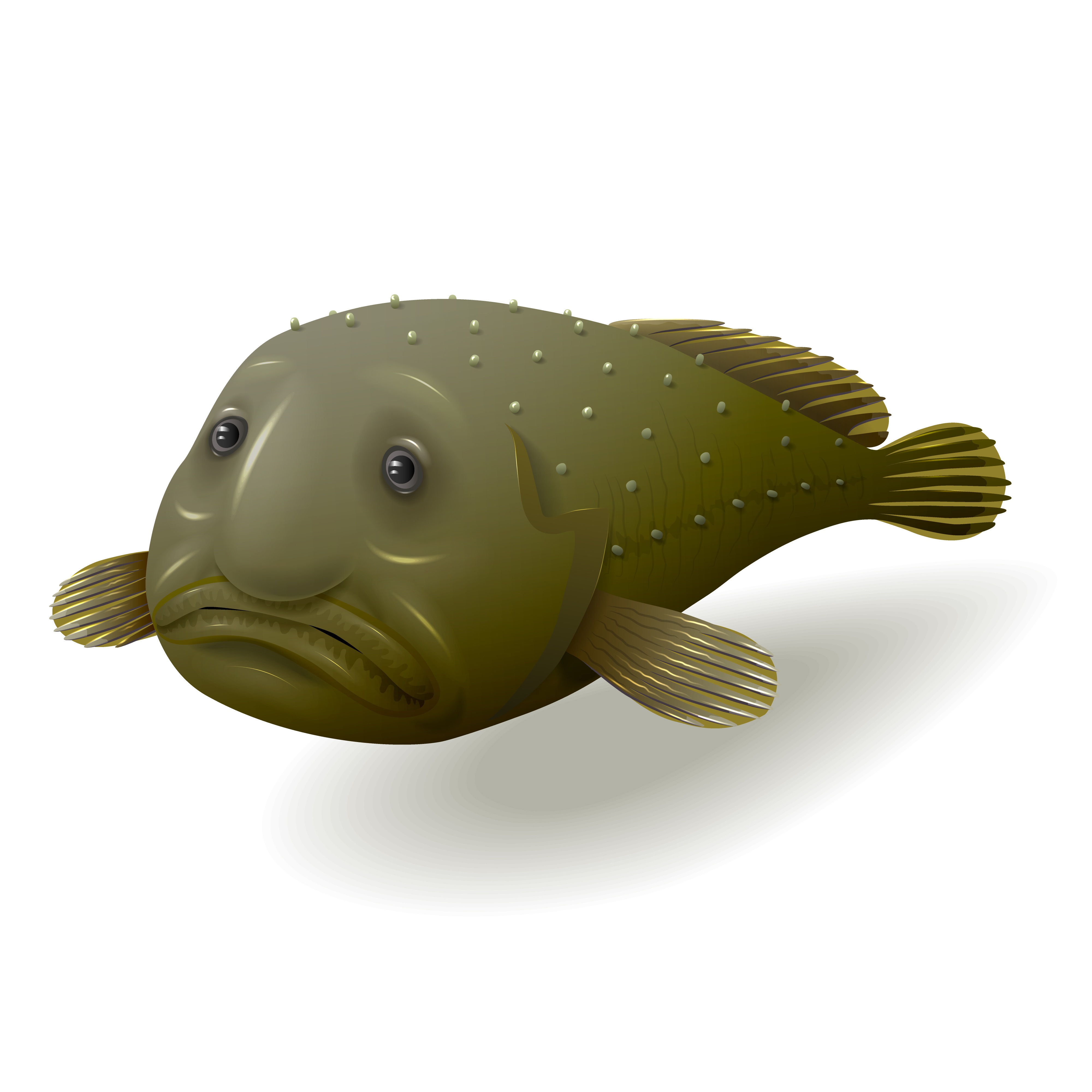 Caratteristiche del pesce blob