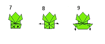 origami-rana-3