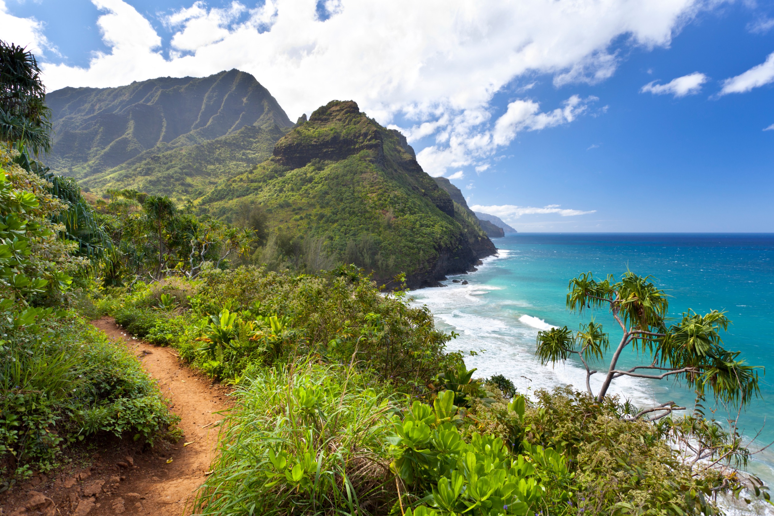 hawaii trail