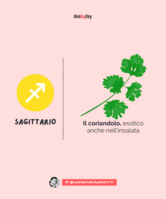 <p>Il coriandolo, esotico anche nell’insalata</p>
