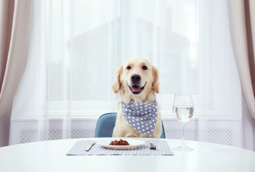 cane dieta ipocalorica