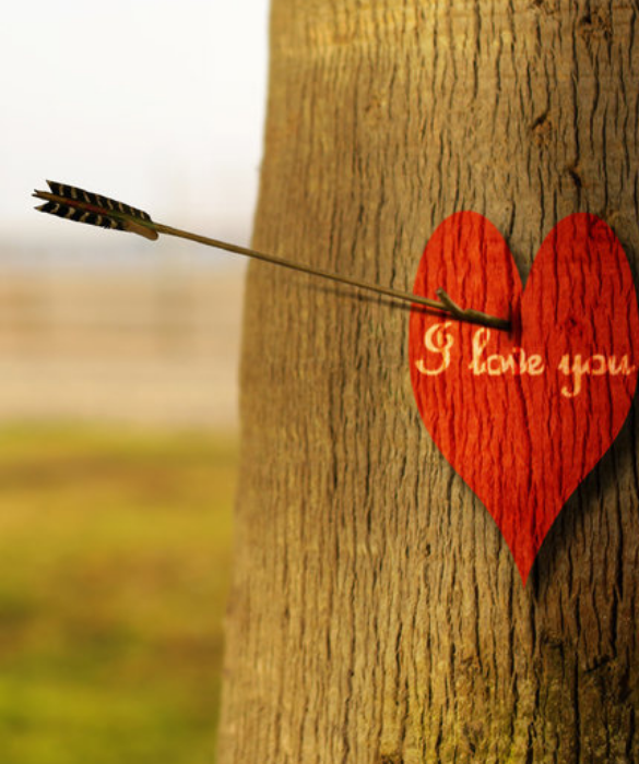 <p>Buon compleanno principessa,</p>
<p>Andiamo incontro alla vecchiaia e lo facciamo insieme.</p>
<p>Noi pensiamo allo stesso modo. Leggiamo le nostre menti. Sappiamo ciò che l’altro vuole senza chiedere. A volte ci irritiamo un po’ l’un l’altro. Altre volte, forse, ci diamo per scontati. Ma di tanto in tanto, come oggi, penso a tutto questo e mi rendo conto di quanto sono fortunato a condividere la mia vita con la più grande donna che abbia mai incontrato. Sai ancora affascinare e mi ispiri. Mi incoraggi al meglio. Sei l’oggetto dei miei desideri, la prima ragione della mia esistenza sulla Terra.</p>
<p>Ti amo molto.</p>