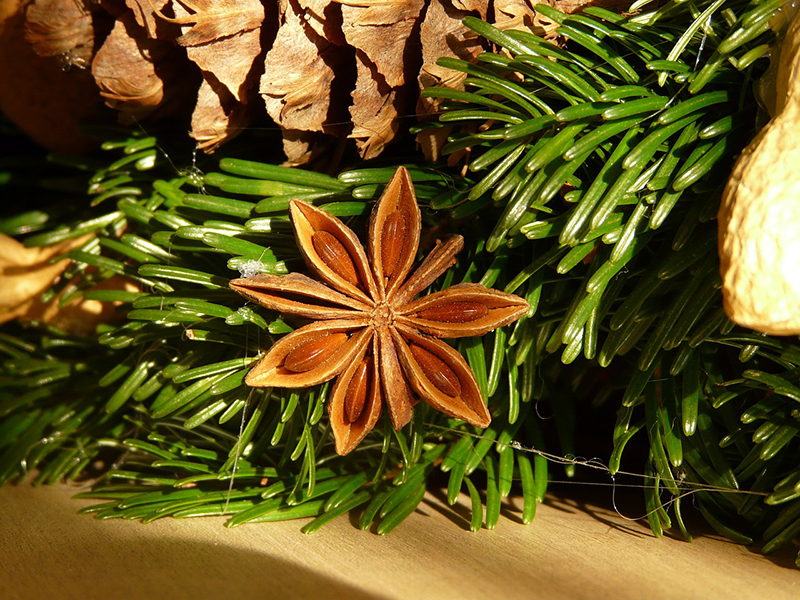 Set di decorazioni natalizie idee creative stella di cocco cannella rondella darancia con muschio decorazioni naturali anice MGS SHOP Deko 