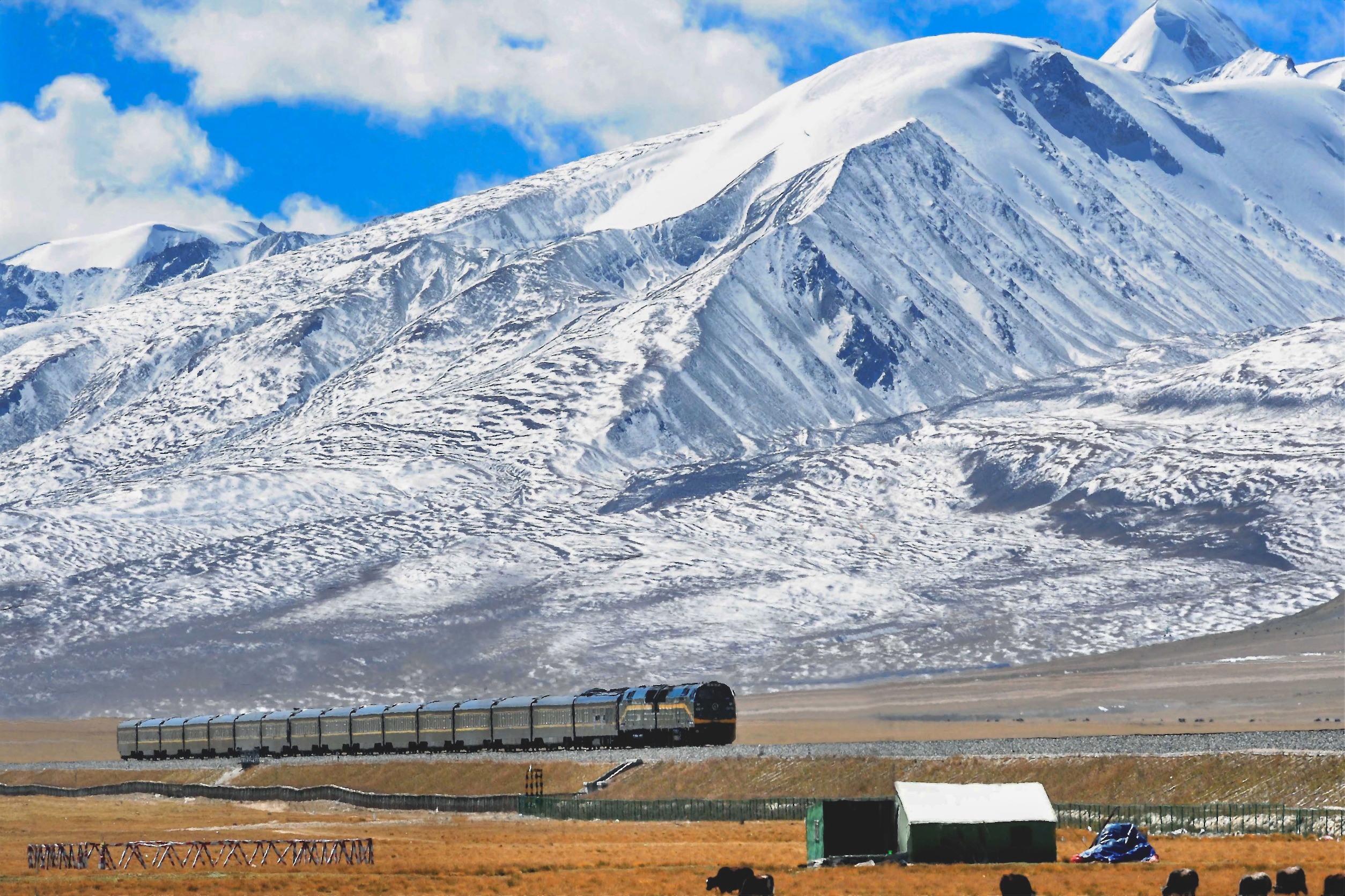 Qinghai-Tibet