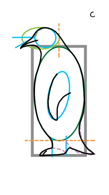 Disegnare il profilo del pinguino