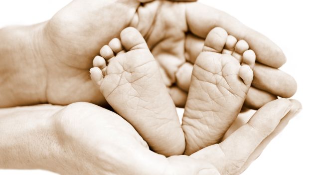 Il Tuo Lui E Pronto A Diventare Papa